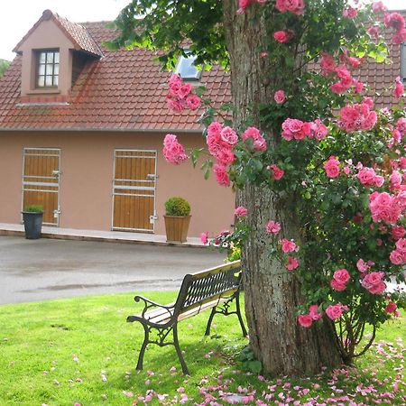 Hotel Du Moulin Aux Draps Desvres Luaran gambar